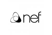 Nef İnşaat