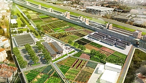 İstanbul bostanları geri dönüyor