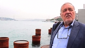 Ortaylı: Kazık çakılacaksa Mimar Sinan çakardı