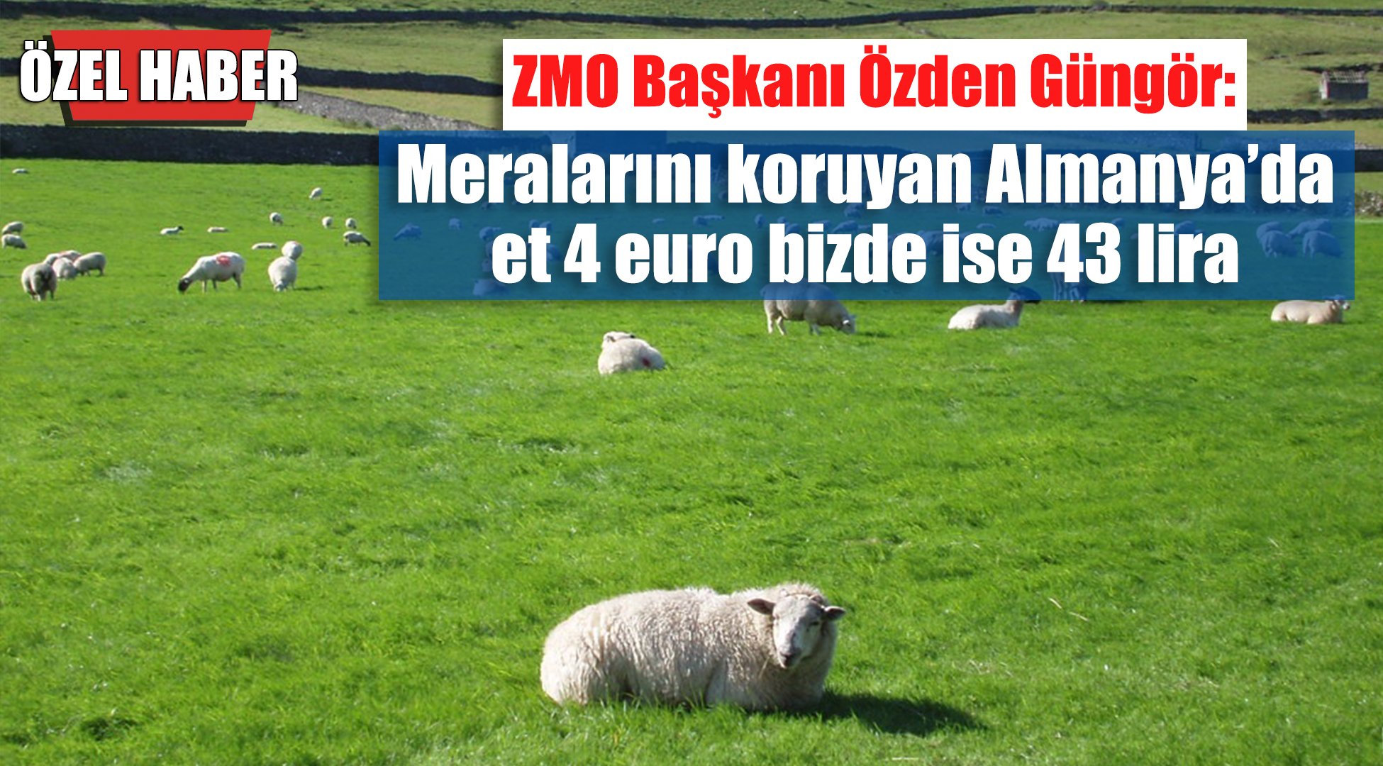 ZMO Başkanı Özden Güngör: Meralar ucuz arsa olarak görülüyor