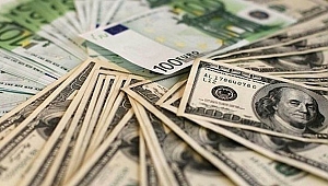Dövizle Yapılan Sözleşmeler Türk Lirasına Çevrilmeli