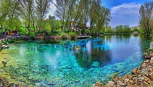 Türkiye'de sadece Sivas'da bulunuyor