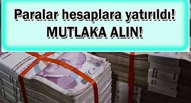 Aile Bakanlığı destek ödemeleri hesaplara peş peşe yatırılıyor 